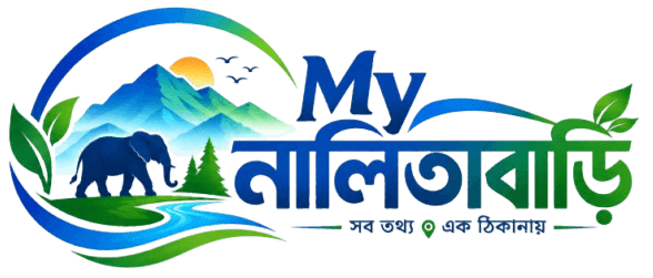 My Nalitabari
